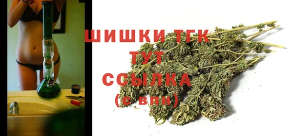 spice Верея