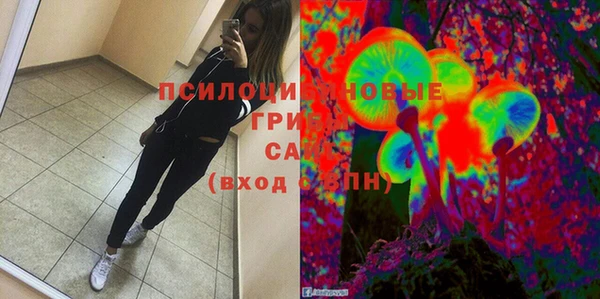 apvp Бугульма