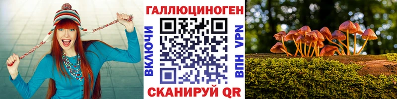 как найти наркотики  Далматово  Галлюциногенные грибы GOLDEN TEACHER 